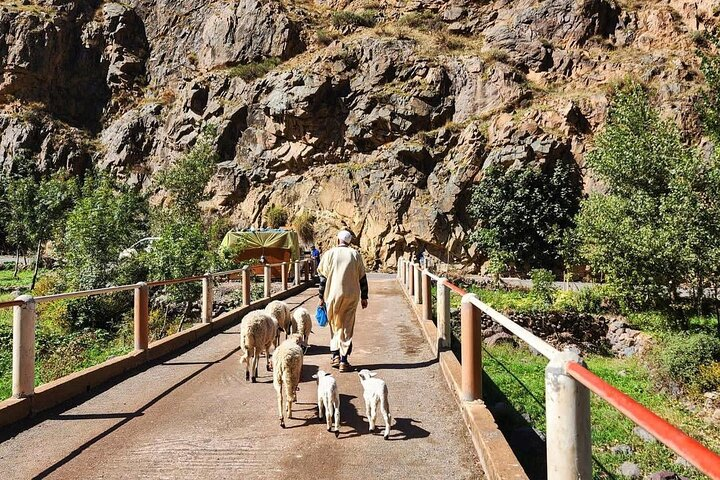 Marrakech: Tradition Morrocan Cooking Class with Market Visit  - Photo 1 of 3