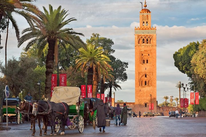 Historical and Cultural Private Tour of Marrakech  - Photo 1 of 12