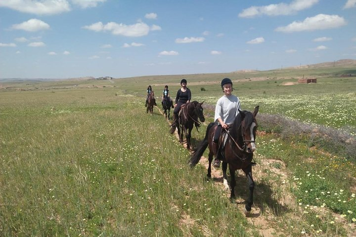Horseback Riding in a special agafay desert  - Photo 1 of 10