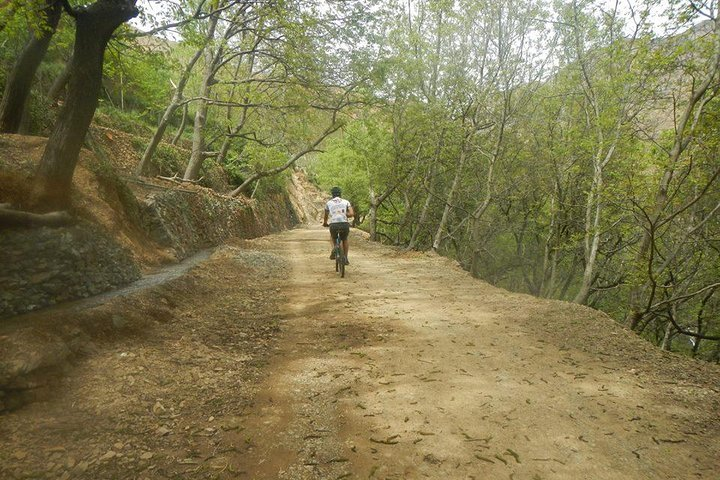 Day bike trip Imlil to Asni