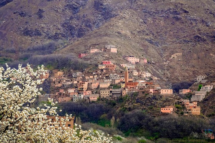 Imlil - Discover the Atlas Mountains (privé) - Photo 1 of 4