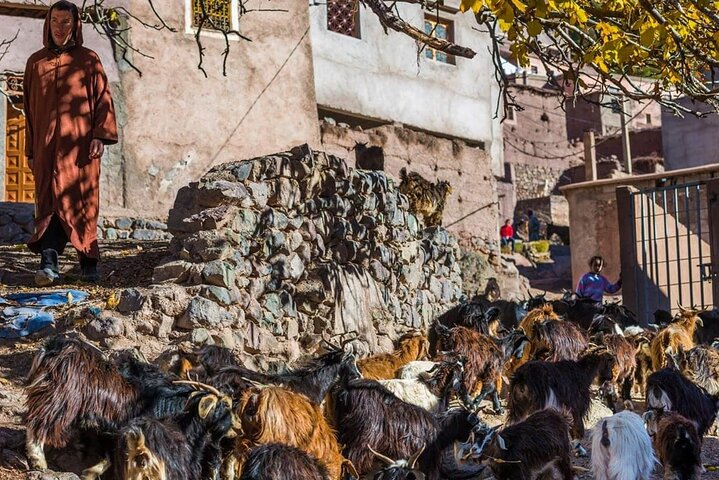 Imlil Full Day Trip From Marrakech with Berbers
