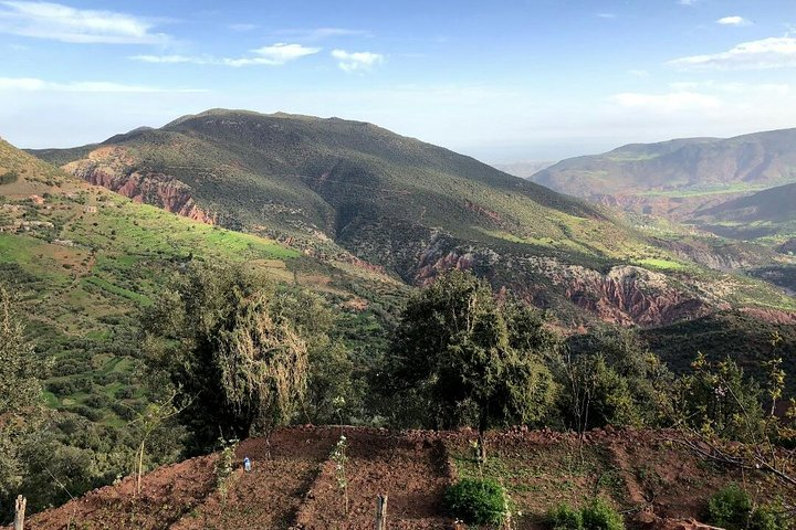 High Atlas 