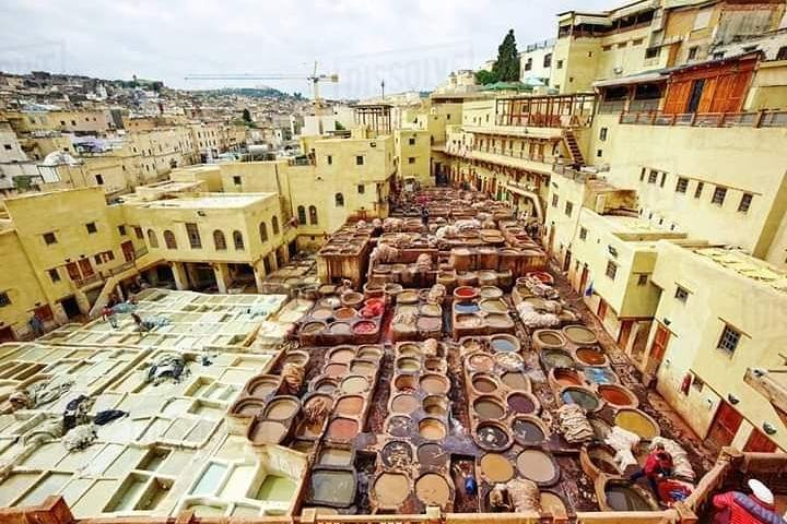 Fez Tannery