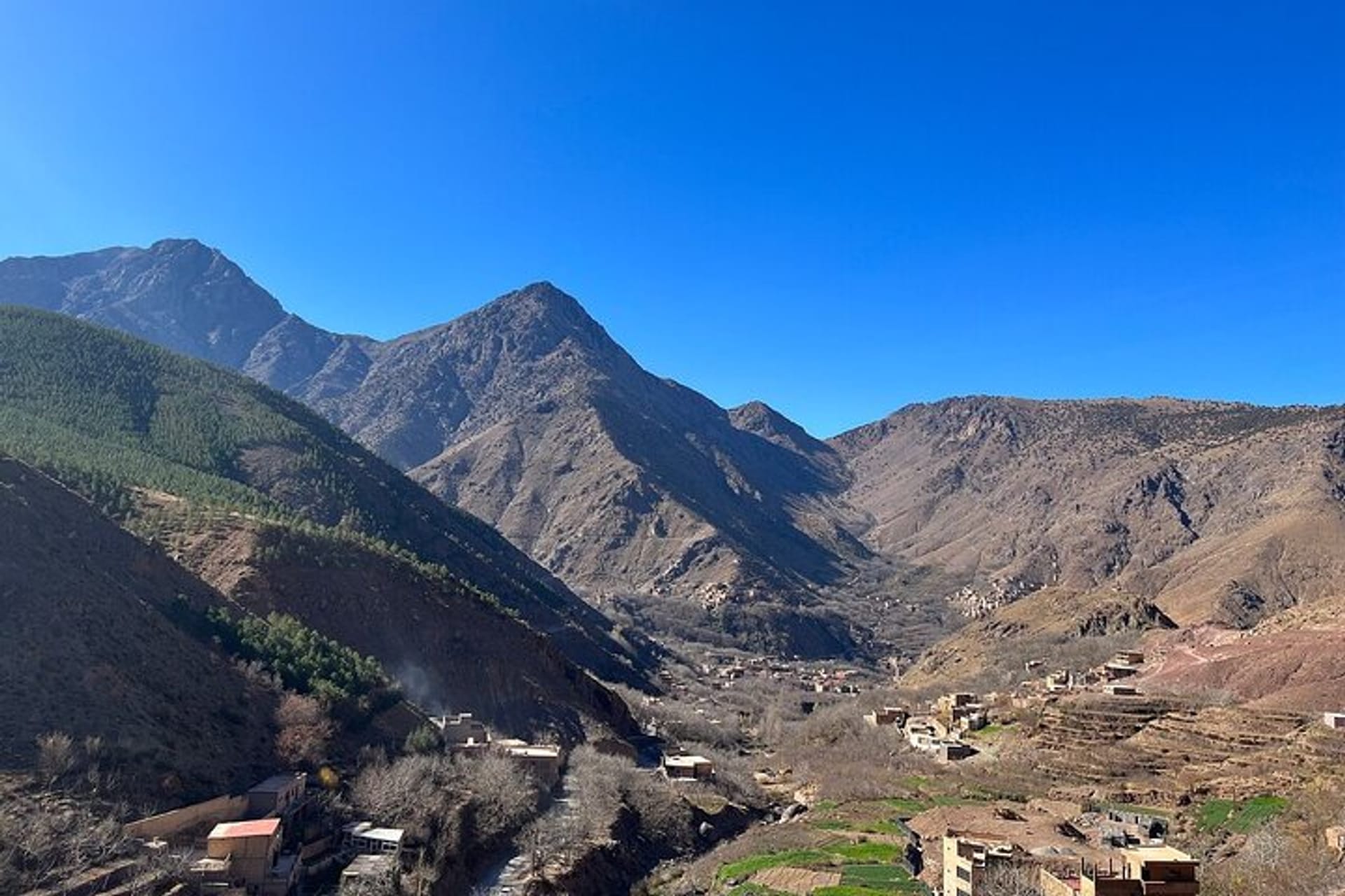 7047136a-8aec-4772-b6ba-