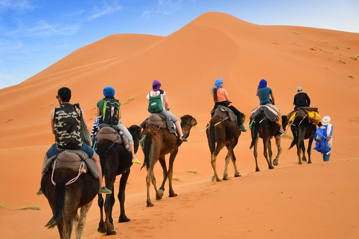 camel trek