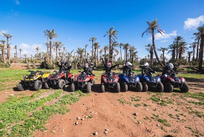 "Majorelle Garden & Palmeraie Quad Biking: Marrakech Adventure" - Photo 1 of 11