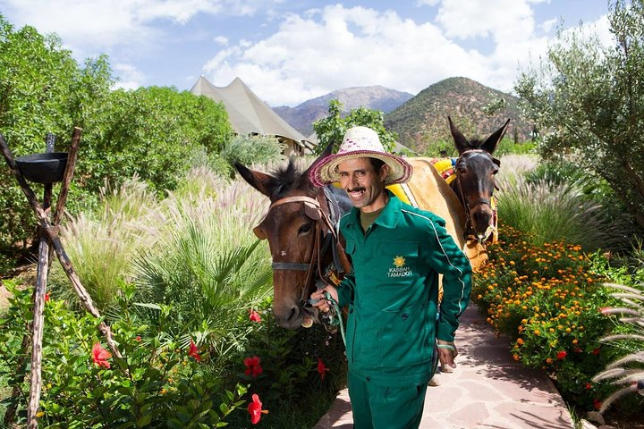 Marrakech: Berber Culture Experience & Atlas Mountains Tour - Photo 1 of 8
