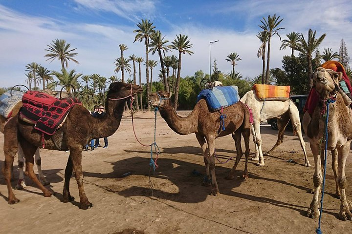  Agadir Buggy Adventure + Berber Tea Experience & Transfers - Photo 1 of 7
