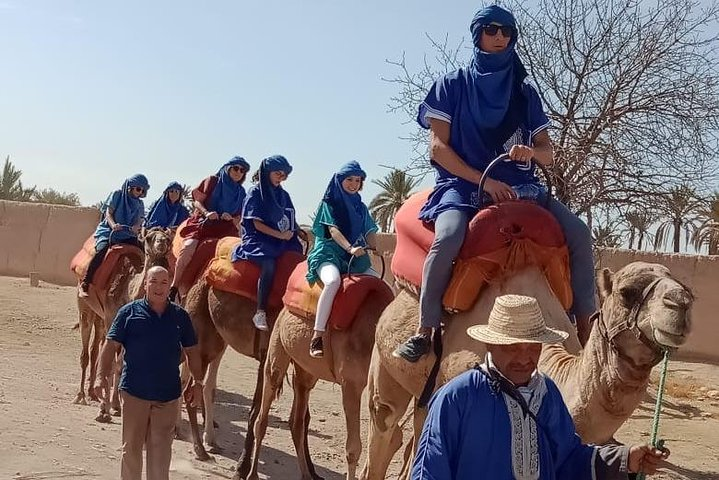 Marrakech camel ride in Palm grove - Photo 1 of 3
