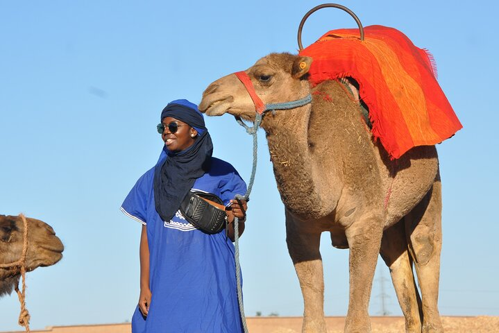 Marrakech: Camel ride in the palm grove - Photo 1 of 6