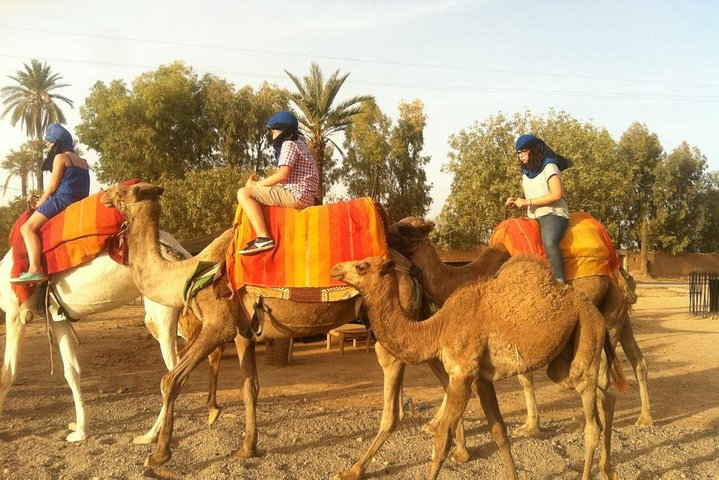 Marrakech Camel Ride Tour - Photo 1 of 10