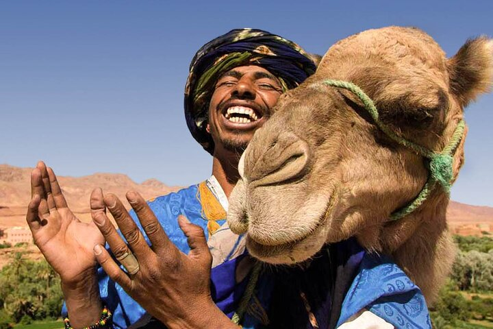 Marrakech Camel Ride  - Photo 1 of 8