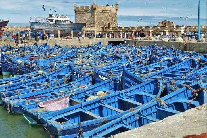 Essaouira " Mogador Day trip"