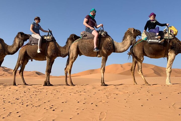 Marrakech Experience: PalmGrove Camel Ride Excursion - Photo 1 of 3