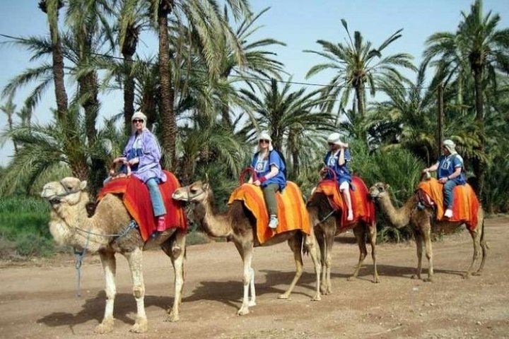 Marrakech Half-Day Camel Ride in Palm Grove - Photo 1 of 7