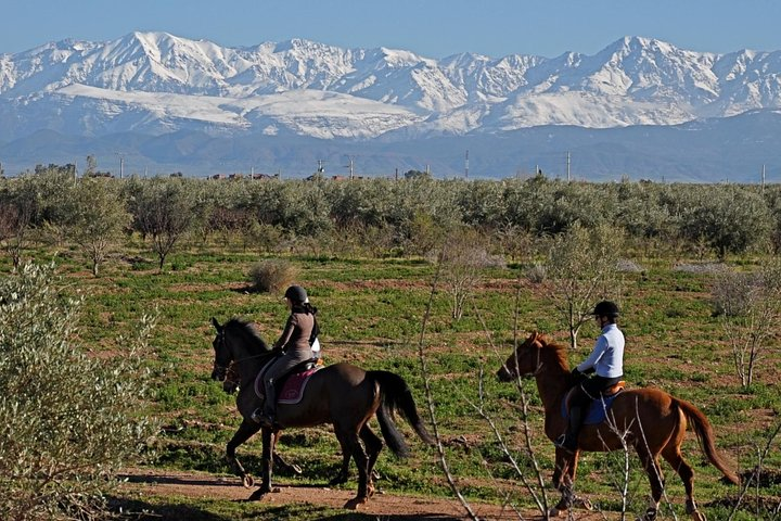 horse ride in the atlas mounatins 