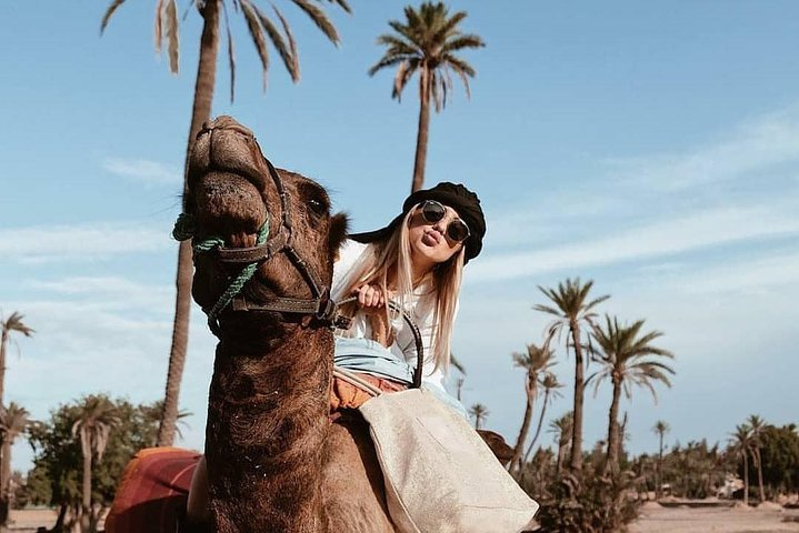 Marrakech Palm Grove Camel Riding Activity - Photo 1 of 9