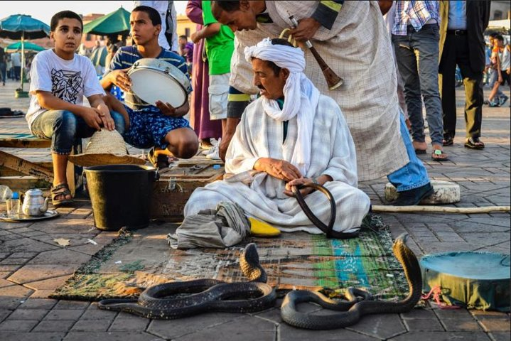 Half-Day Guided Tour: Monuments and Souks of Marrakech - Photo 1 of 8