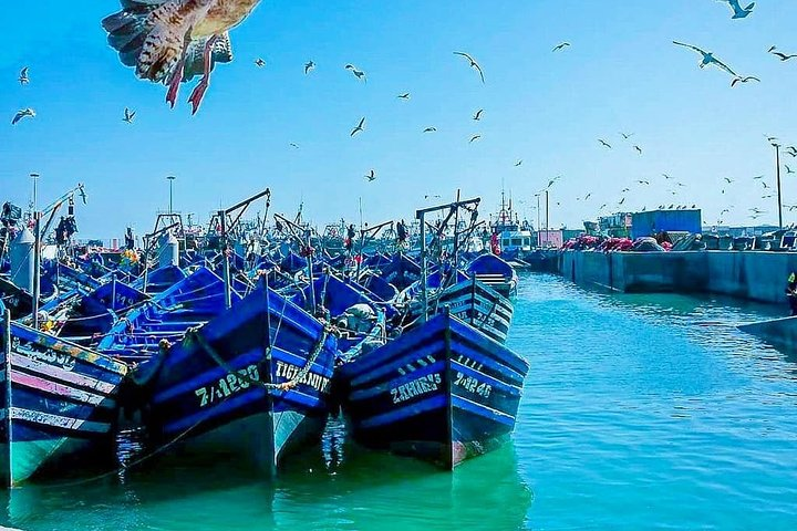 Marrakech to Essaouira Private Full-Day Tour 