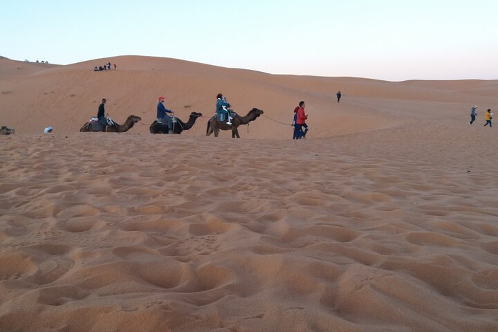Camel tour Sahara 
