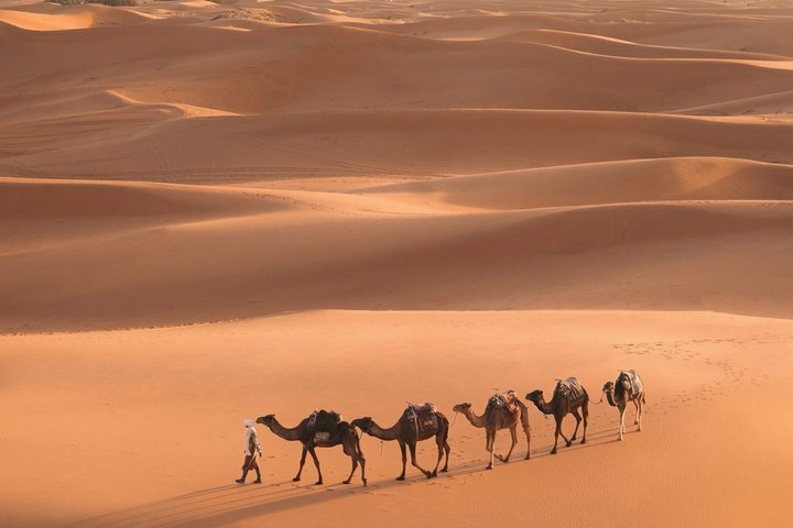 From Marrakech: 3-Day Merzouga and Sahara Desert Tour - Photo 1 of 22