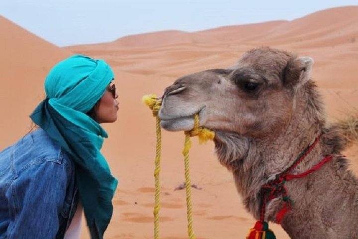 Marrakesh Palm Grove Camel Ride - Photo 1 of 6