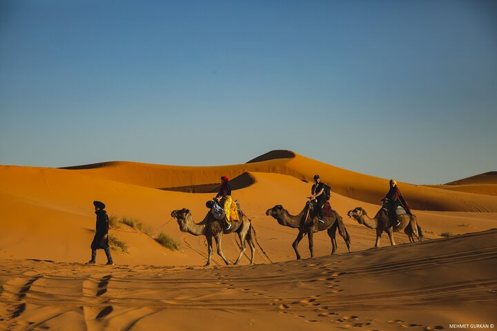 Camel ride in Merzouga