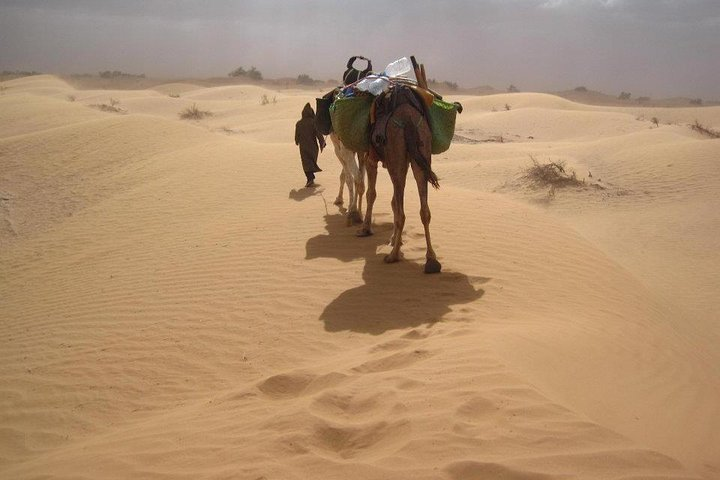 Merzouga and the berber trail in 3 days - Photo 1 of 9