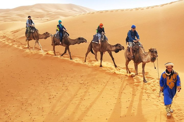 Merzouga Camel Trekking & Overnight in the Desert Camp - Photo 1 of 5