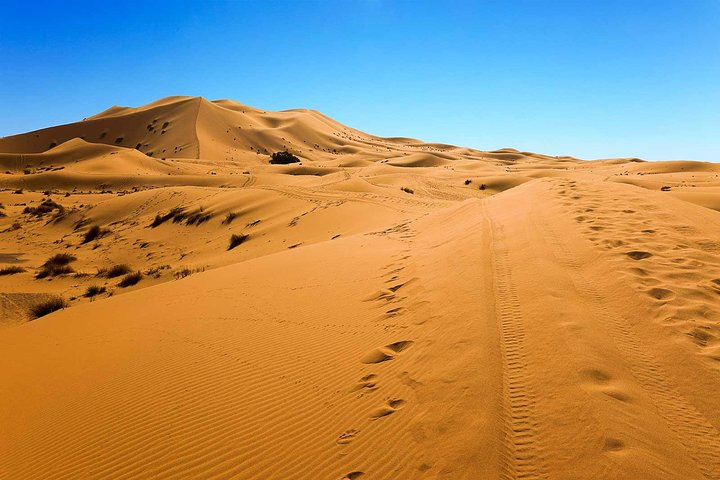 Merzouga Dunes