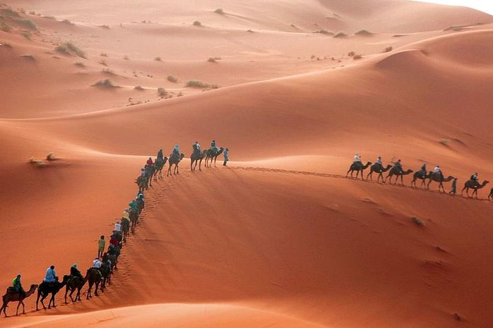 Merzouga sahara desert Adventure,Dunes,Sunset,camel ride 3 Days - Photo 1 of 9