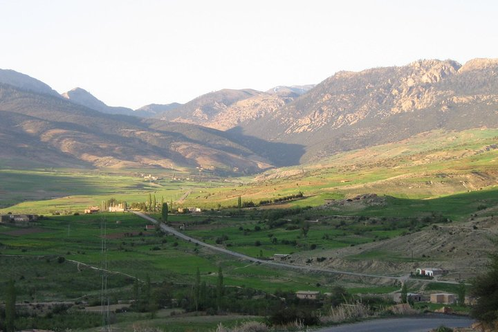 Middle Atlas Mountains, Cedar Forest and Azrou Day Trip from Fez