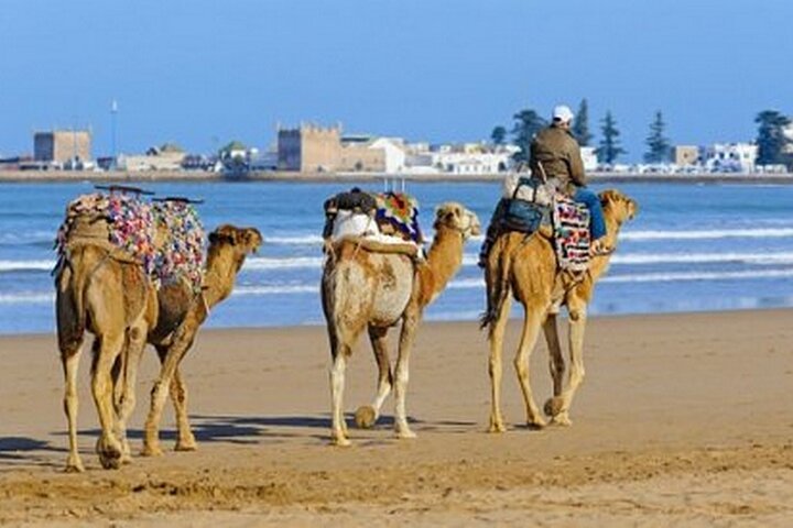 "Mogador Camel Expedition Ecotour | Private & Luxury - Photo 1 of 7