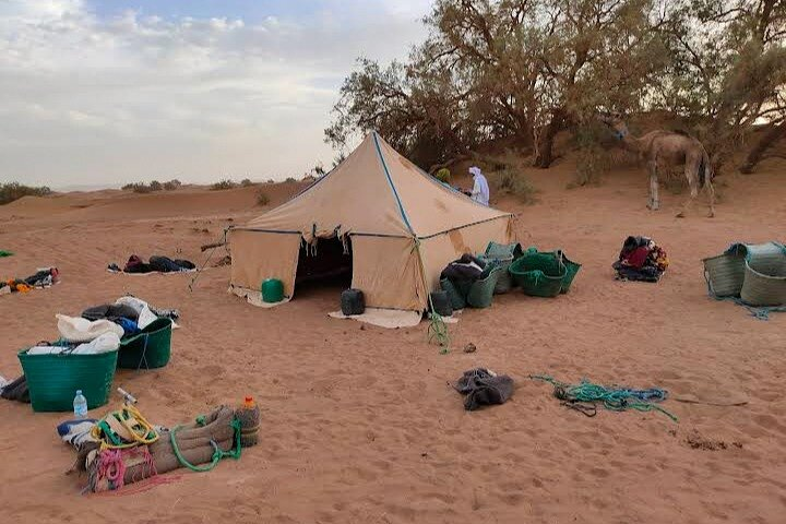 Camel Trekking 2 days - Photo 1 of 10