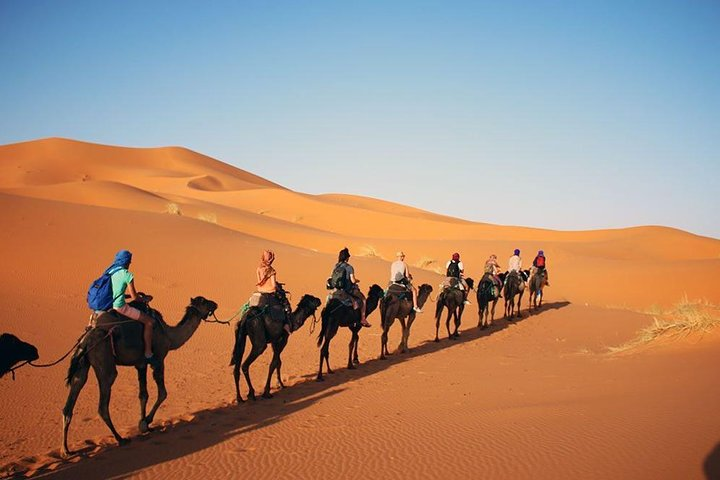morocco camel trek tours