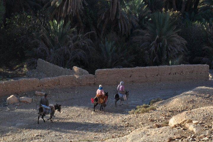 Farmers near Fez