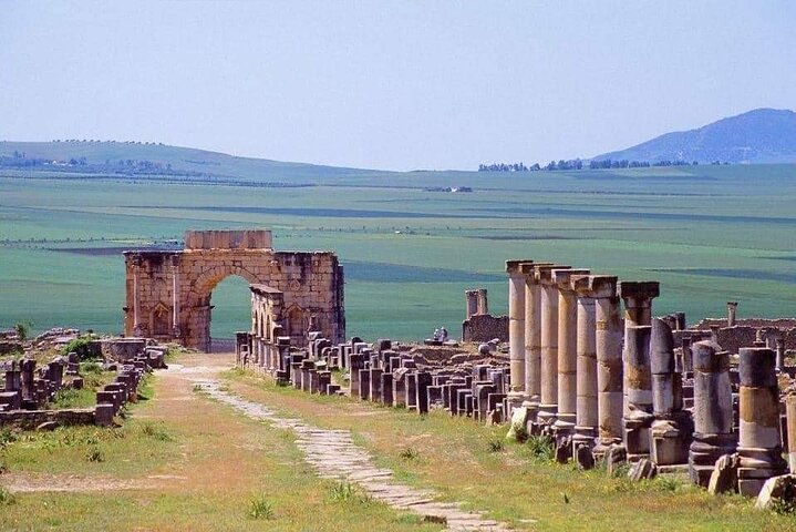 Fes to volubilis and meknes day trip