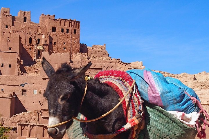 Ouarzazate group excursion - Photo 1 of 7