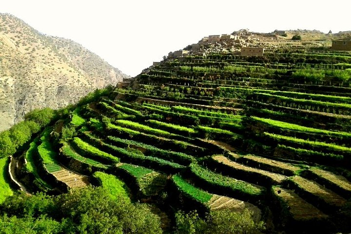 Ouirgane Trekking & Hiking from Ouirgane to Imlil - 4 Days - Photo 1 of 7