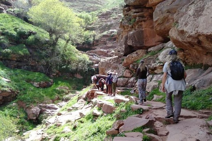 Ourika tizi n'oucheg - Photo 1 of 8