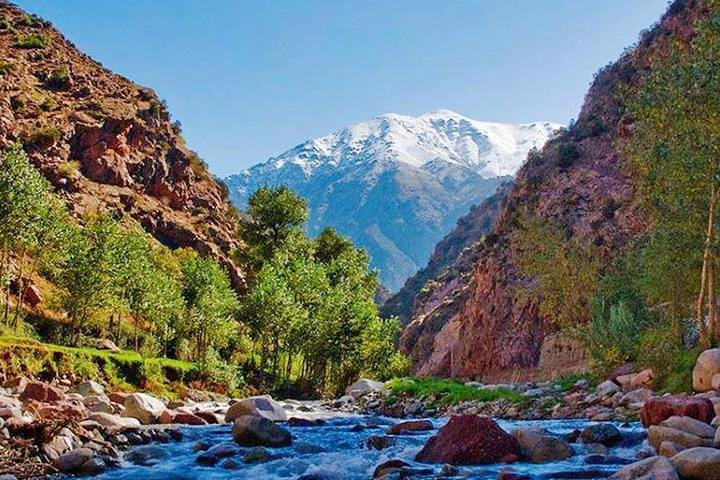 Ourika Valley: Atlas Mountains day trip from Marrakech - Photo 1 of 9