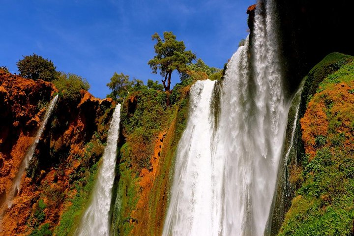 Private Guided Day Trip: Ouzoud Waterfalls from Marrakech