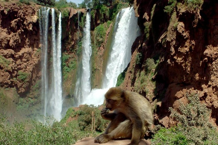 Paradise valley half day from Agadir and Breakfast & Transfers  - Photo 1 of 8