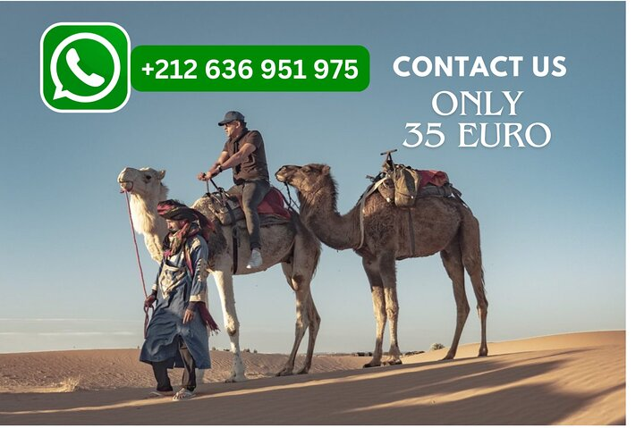 Overnight camel trekking in Merzouga