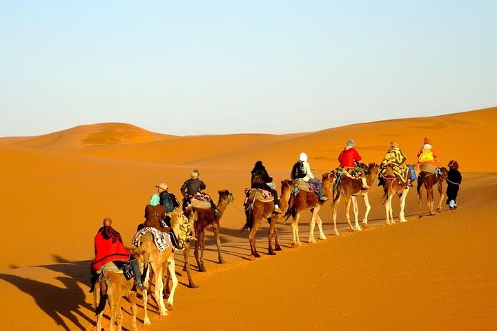ZAGOURA CAMEL RIDING