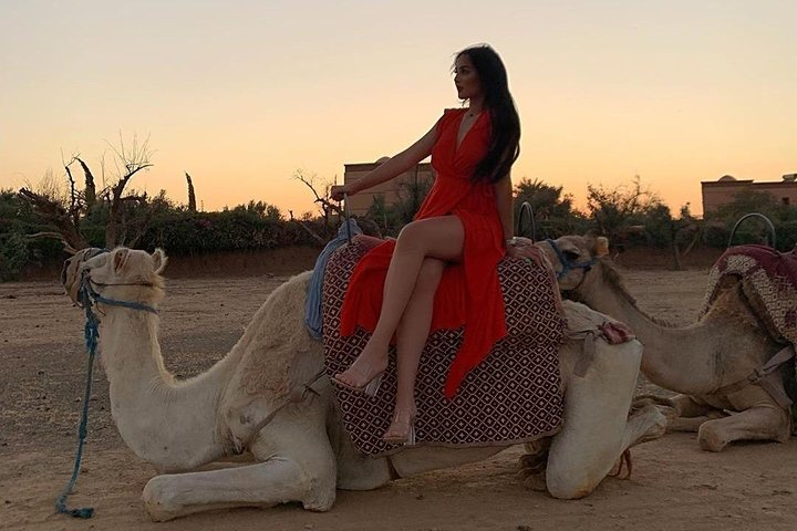 Pack Camel ride 1 Hour and Quad biking 2 Hours in Marrakech  - Photo 1 of 7