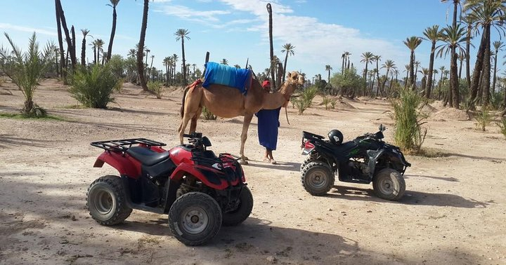 quad camel ride