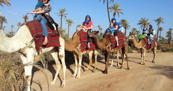 quad camel ride