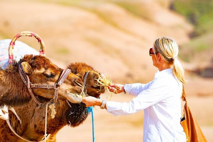 Premium Agafay Desert & Berber villages with Camel Safari Including Lunch  - Photo 1 of 8